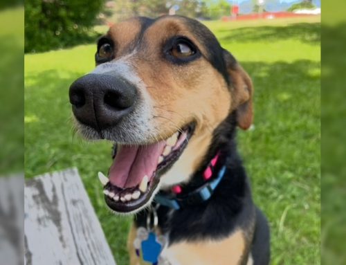 A little extra skin causes a lot of trouble